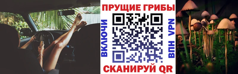 Псилоцибиновые грибы прущие грибы Заволжск