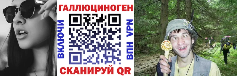 Псилоцибиновые грибы ЛСД  где купить наркоту  Заволжск 